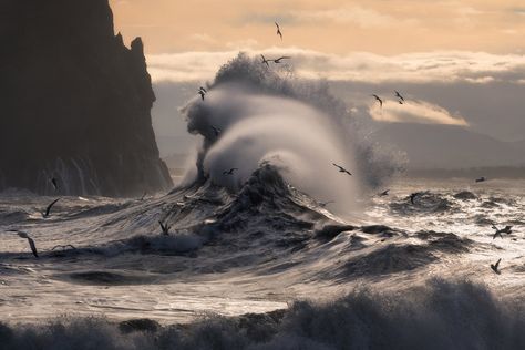 Photo © Majeed Badizadegan Goddess Of The Sea, Matka Natura, Belle Nature, Sea And Ocean, In The Ocean, Ocean Life, Ocean Beach, Ocean Waves, Amazing Nature