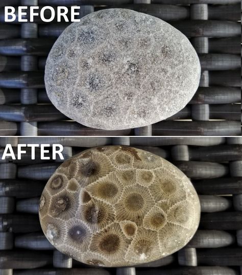 "Premier Petoskey Stone Polishing Kit by SHORELINE PETOSKEY SHOP Enjoy the experience and satisfaction of polishing your own Petoskey stone from start to finish. It's fun for all ages as you watch the intricate detailed patterns emerge and the ancient \"eyes\" of the legendary Petoskey stone come to life! The kit includes everything you will need to polish like a pro! * TWO GRADE A PETOSKEY STONES! * 4 different grits of premium sand paper to ensure a smooth finish * A felt polishing pad * Premi How To Polish Rocks, Petosky Stone, Stone Polishing, Rock Tumbling, Michigan Gifts, Rock Tumbler, Rocks And Fossils, Rock Hunting, Petoskey Stone