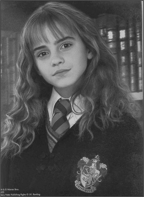 Emma Watson Sketch, Hermione Granger Drawing, Harry Potter Portraits, Harry Potter Sketch, Harry Potter Art Drawings, Pen Art Work, Celebrity Portraits Drawing, Desenhos Harry Potter, Harry Potter Images