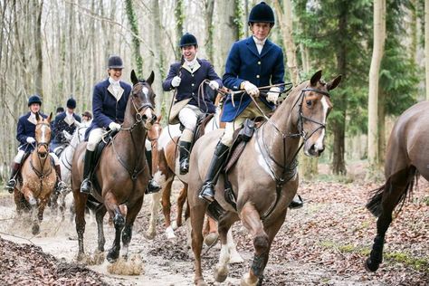 Hunting Aesthetic, Badminton Horse Trials, Fox Hunter, Horse Trials, Hunting Life, Fox Hunting, British Countryside, The Fox And The Hound, Horse Life