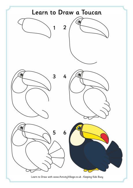 1000+ images about Amazon Rainforest on Pinterest | Rainforests ... How To Draw A Toucan, Draw Birds, Toucan Art, Kids Painting, Drawing Tutorials For Kids, Drawings Ideas, Easy Drawings For Kids, Art Easy, Drawing Projects