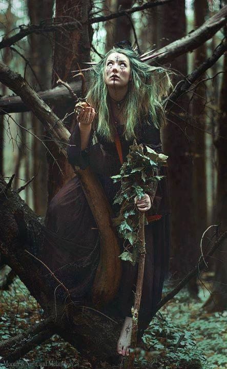 Staff, but much taller, and metallic Halloween Costumes Aesthetic, Nikki Makeup, Witch Photos, Baba Jaga, Nature Witch, Aesthetic Fairy, Fantasy Photography, Halloween Photoshoot, Samana