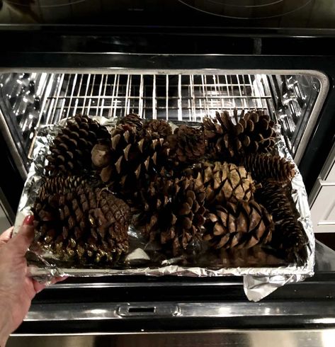 How to Prepare Pine Cones for Crafts - aDOORable Deco Decor Decorating Pinecones For Christmas, Pine Tree Clippings Decor, Baking Pine Cones For Crafts, How To Dry Out Pine Cones, Drying Pinecones In Oven, How To Bake Pinecones For Crafts, How To Prepare Pine Cones For Crafting, How To Dry Pinecones In Oven, Decorating With Pine Cones For Christmas