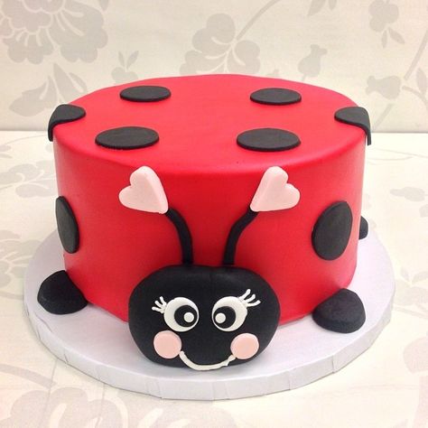 Cute little ladybug cake from The Cupcake Shoppe in Raleigh.