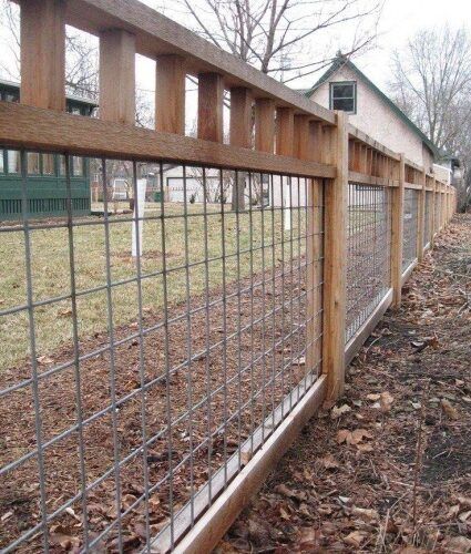 Dog Fence Ideas, Cheap Garden Fencing, Pagar Modern, Cattle Panels, Hemma Diy, Wood Patio, Dog Fence, Furniture Patio, Backyard Fences