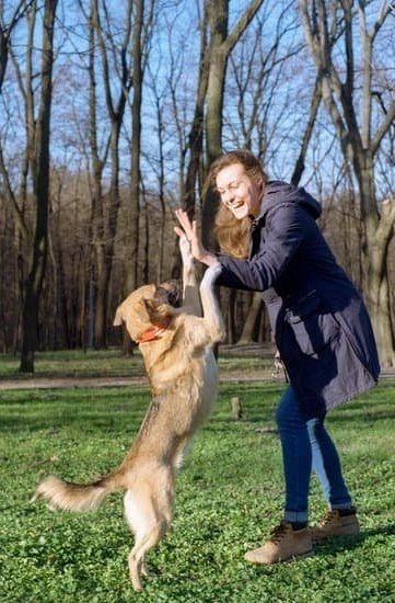 How To Train Your Dog To Use Training Bells One of the easiest ways to train your dog to use bells is to put the bells on a door and have the dog ring them when he needs to go out. You can also train your dog to use bells to let you know when he wants something, such as food or water. The first step is to get your dog used to ringing the bells. You can do this by ringing the bells yourself and rewarding your dog with a treat when he rings them. Once your dog is comfortable ri Dog Trainer Photoshoot, Trainer Photoshoot, Psychiatric Service Dog, Different Types Of Dogs, Animal Photography Wildlife, Service Dog Training, Photography Wildlife, Dog Photoshoot, Dog Ring