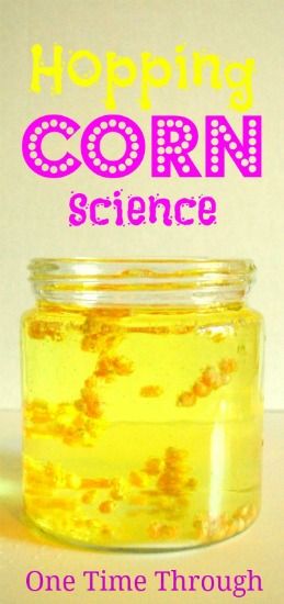 Hopping Corn Science Activity - One Time Through Farm Preschool, Thanksgiving Preschool, 13 November, Science Activity, Science Activities For Kids, Kindergarten Science, Science Fair Projects, Preschool Science, E Mc2