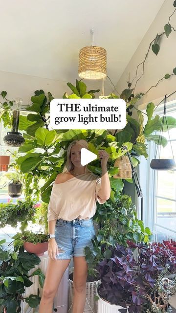 Samantha Hermann on Instagram: "Comment ‘LIGHT’ for the link & a special discount code just for house + plant friends! ✨  GAME CHANGER 🙌🏻   Footcandles readings brightest setting to lowest setting: ~1800 ~1200 ~800 ~400  This would work so well for a large variety of plants!" House Plant Grow Light Setup, Hanging Grow Lights Indoor, Indoor Plant Lighting Ideas, Grow Light Set Up, Plant Lights Indoor Setup, Grow Light Ideas, Plant Lights, Plant Friends, Grow Light Bulbs