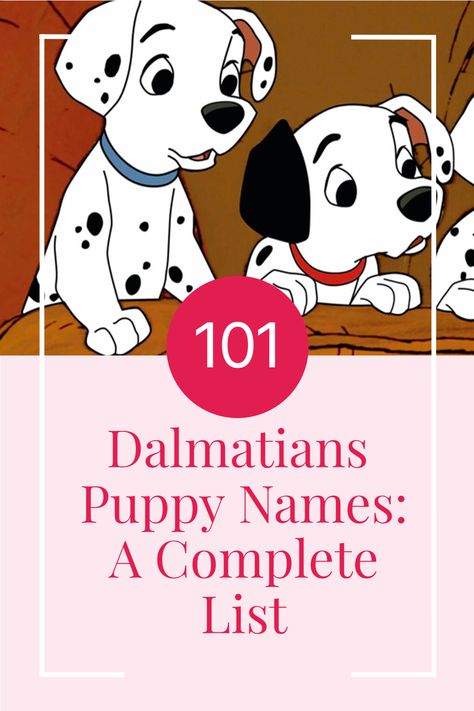 Dalmatian Name Ideas, 100 Dalmatians, 101 Dalmatians Book, 101 Dalmatians Characters, The 101 Dalmatians, Girl Dog Names, Hairless Dog, 101 Dalmations, Disney 101 Dalmatians