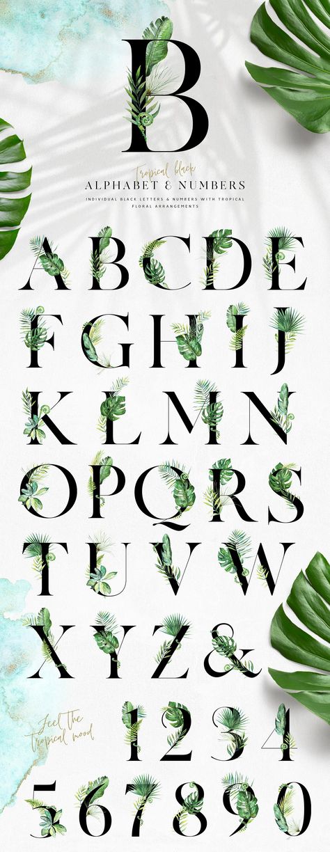 50%OFF Tropical Alphabet Design Kit by Veris Studio on @creativemarket Tropical Alphabet Letters, Tropical Font Alphabet, Tropical Lettering, Cacti Drawing, Tropical Monogram, Tropical Logo, Menu Design Inspiration, Office Organizing, Create Wedding Invitations