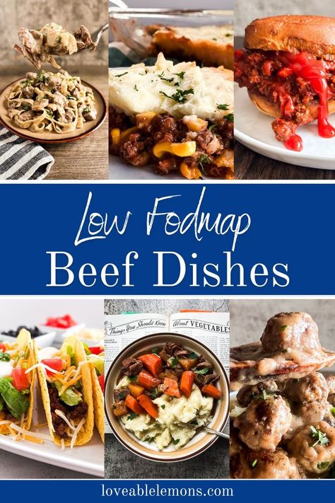 six photos of low FODMAP beef dishes ranging from pasta, shepherd's pie, sloppy joes, beef tacos, beef stew and swedish meatballs. Meals Using Ground Beef, Fodmap Recipes Dinner, Low Fodmap Recipes Dinner, Fodmap Meal Plan, Fodmap Friendly Recipes, Low Fodmap Snacks, Fodmap Snacks, Low Fodmap Diet Recipes, Fodmap Diet Recipes