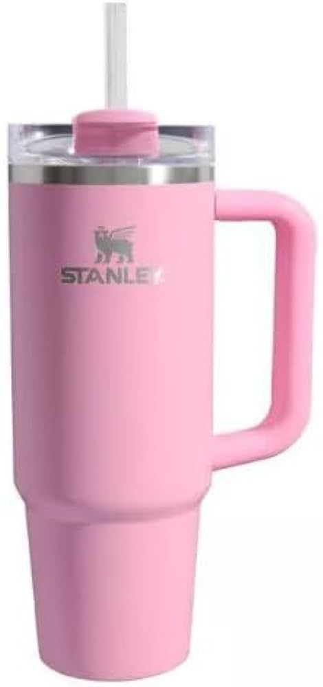 Amazon.com: STANLEY 30 oz Stainless Steel H2.0 Flowstate Quencher Tumbler Sizzling Pink Pink Stanley, Rainbow Palette, Birthday Items, Pink Bubbles, 30 Oz Tumbler, Pink Brand, Reusable Straw, Online Workouts, Stanley Cup