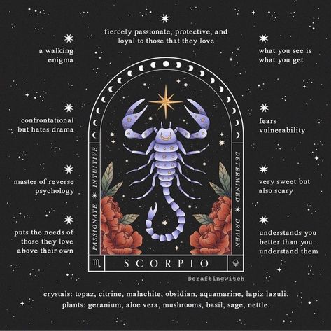 Scorpio Personality Traits, Witchcraft Store, Sagittarius Virgo, Scorpio Personality, Aquarius Aries, Astrology Scorpio, Metaphysical Store, Scorpio Zodiac Facts, Zodiac Signs Scorpio