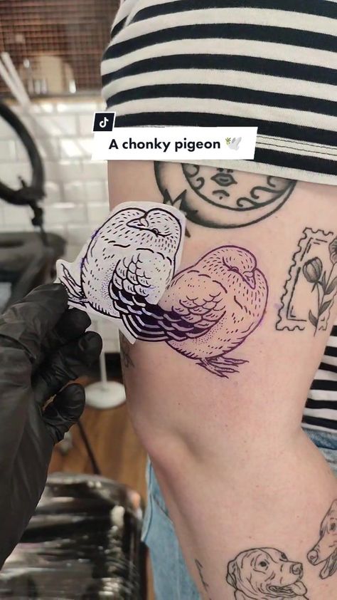 Etch Tattoo Style, Cute Pigeon Tattoo, Uk Tattoo Ideas, Weevil Tattoo, Glass Animals Tattoo, Pigeon Tattoo Design, Scientific Tattoo, Pigeon Tattoo, Illustrative Tattoos