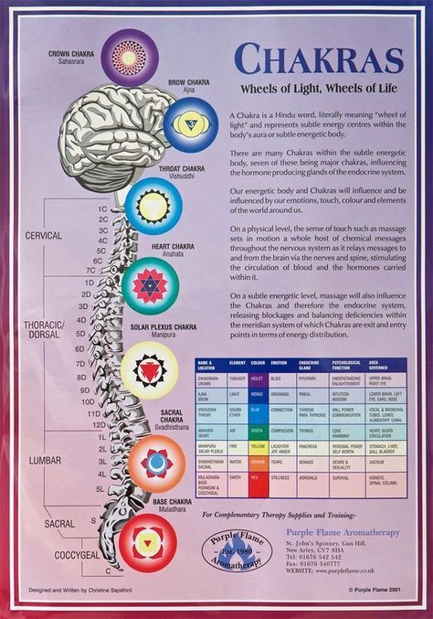 Colour Emotion, Freeform Dreads, Spiritual Elements, Yoga Chakras, Chakra Meanings, Human Energy, Chakra Mantra, Chakra Chart, Yoga Shala