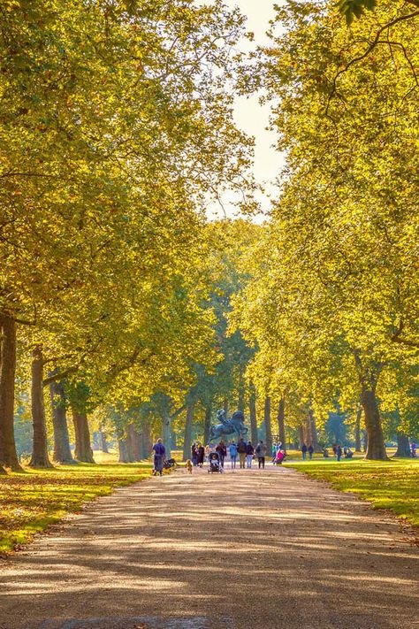 Hyde Park London Aesthetic, Best Parks In London, Parks In London, London Parks, Richmond London, London Painting, London Fields, Hyde Park London, London Dreams