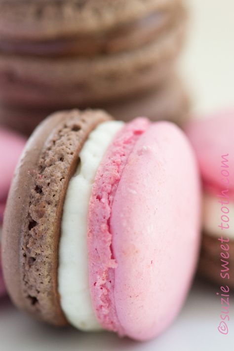 White Macaroons, Macarons Macaroons, Neapolitan Ice Cream, Macaron Flavors, Macaron Cookies, French Macaroons, Macaroon Recipes, Macaron Recipe, Chocolate Strawberry