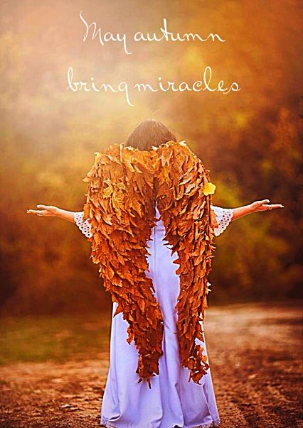 I just love this Autumn Angel. May the season bring you miracles <3  #Autumn #Angel #miracle I Believe In Angels, Angels Among Us, Fabulous Fall, Guardian Angels, Autumn Beauty, Fairy Angel, Fall Favorites, Happy Fall, Fall Thanksgiving