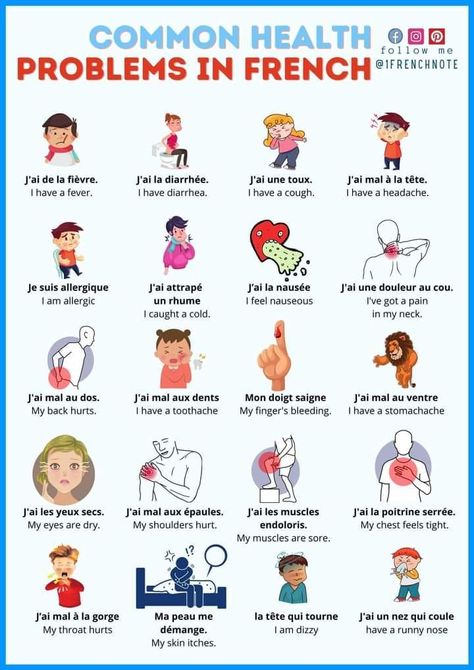 French Travel Phrases, French Language Basics, French Sentences, Useful French Phrases, Learn French Beginner, French Basics, French Flashcards, Basic French Words, Study French