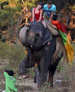 Tourists on the back of an elephant in Sri Lanka - 2014 Christmas Nativity Scene Display, Elephant Riding, Fallen Out Of Love, Nativity Scene Display, Anna Jones, Elephant Ride, End Of The Road, Falling Out Of Love, Out Of Love