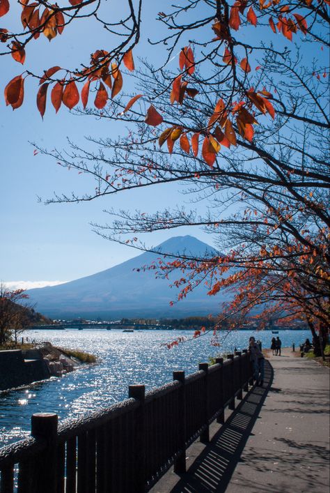 Lake Kawaguchiko Autumn, Kyoto Japan Photography, Tokyo Autumn, Season Images, Japan Moodboard, Real References, Japan Scenery, Lake Kawaguchiko, Tokyo Architecture