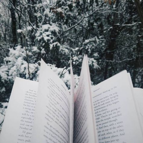 Part of what I love about Christmas break is having more time to read books! Winter Reading, Library Inspiration, An Open Book, Library Aesthetic, Winter Books, Photography Winter, Christmas Break, About Christmas, Through The Looking Glass