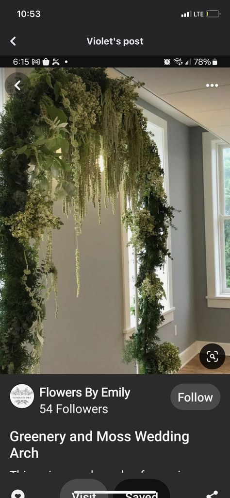 Dark Moody Forest Wedding, Moss Wedding Arch, Mossy Wedding Arch, Dark Green Moody Wedding, Woodsy Wedding Arch, Goth Wedding Arch, Practical Magic Wedding Theme, Goth Forest Wedding, Dark Fairytale Wedding Theme