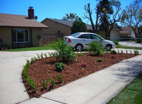 Round Driveway Ideas, Concrete Front Yard, Round Driveway, Driveway Entrance Landscaping, Diy Garden Landscaping, Garden Center Displays, Curb Appeal Landscape, Driveway Ideas, Landscaping Software