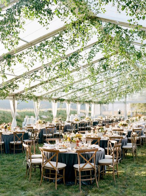 Chic Fall Mountain Wedding in Aspen via Magnolia Rouge Clear Top Tent, Fall Mountain Wedding, Tent Wedding Reception, Colorado Destination Wedding, Clear Tent, Aspen Wedding, Tent Decorations, Greenhouse Wedding, Aspen Colorado