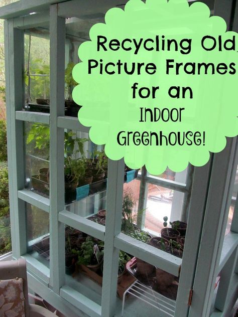 Recycle old, unused picture frame glass into a great indoor greenhouse perfect for starting lots of seeds and keeping plants safe from pets! Indoor Terrarium, Greenhouse Projects, Porch Greenhouse, Greenhouse Indoor, Grow Cabinet, Growing Plants From Seeds, Robin Nest, Homemade Greenhouse, House Greenhouse