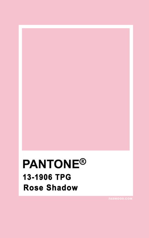 Pantone Rose Shadow 13-1906   #color #colorpalette #pantone pantone pink  #pink Pantone Rosewater, Pink Colors Shades, Pantone Pink Shades, Pantone Rose, Wedding Colour Palettes, Pink Pantone, Sage Wedding Colors, Teal Shades, Fab Mood