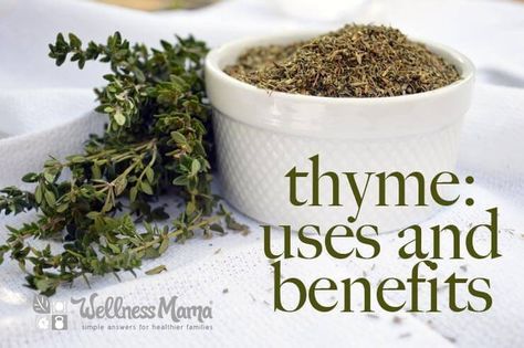 Uses Benefits Of Thyme, Thyme Uses, Thyme Herb, Natural Decongestant, Respiratory Problems, Thyme Essential Oil, Mountain Rose Herbs, Homemade Spice Blends, Wellness Mama