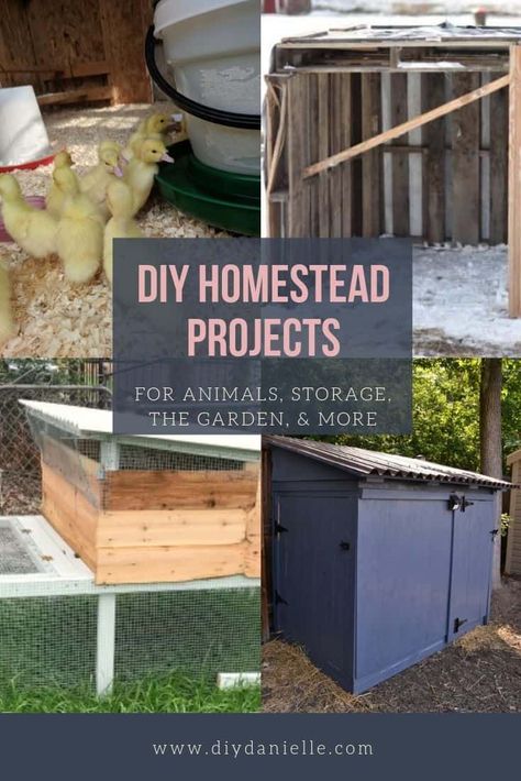 DIY Homestead Projects for Your To-Do List  Different buildings and more than you should build to make homesteading easier!  #homesteading #homestead #diy Backyard Homestead Ideas, Backyard Homesteading, Homestead Projects, Homesteading Diy Projects, Homestead Diy, Homesteading Tips, Backyard Design Ideas Budget, Modern Homesteading, Homesteading Diy