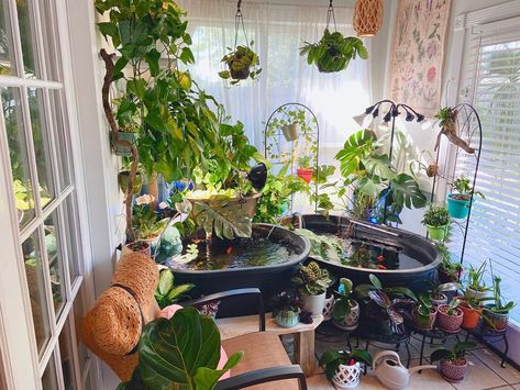 Indoor pond Indoor Fish Pond Ideas, Indoor Fish Pond, Fish Pond Ideas, Indoor Nature, Indoor Pond, Fish Pond Gardens, Fish Tank Terrarium, Turtle Habitat, Plastic Fish