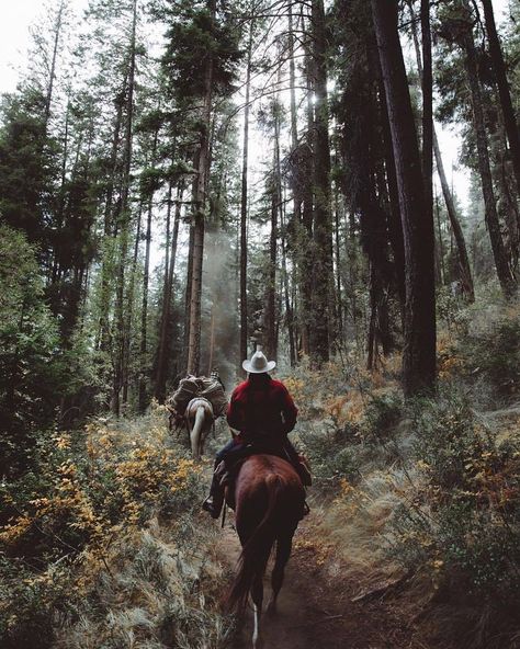 Riding Aesthetic, Western Aesthetic, Ranch Life, George Michael, Horse Life, Trail Riding, Horse Photography, Horse Love, Horse Girl