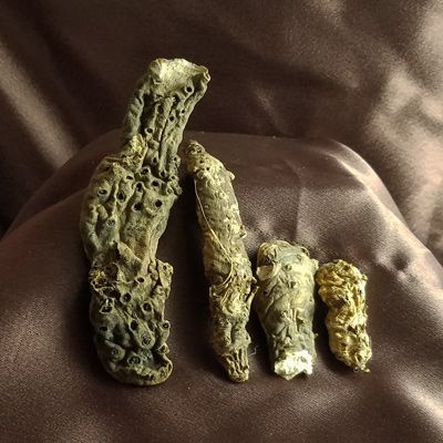 Queen Elizabeth Root (Orris Root) Orris Root, Mojo Bags, Love Oil, Love Spell Caster, Spell Caster, Witch Magic, Red Flannel, Love Spell, Lost Love