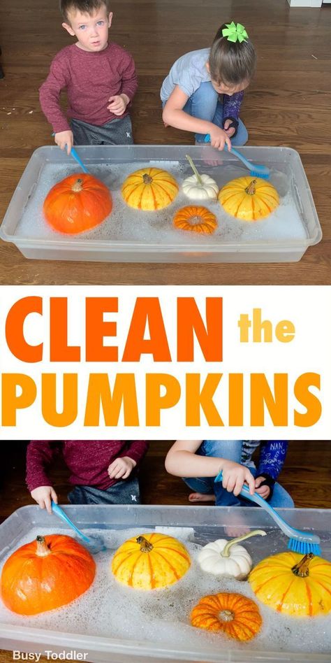 Clean the pumpkins - a quick and easy toddler activity that all kids love. A fun Fall activity washing pumpkins in a sensory bin. Shojo Outfits, Ece Resources, Halloween Kita, Turtle Room, Fall Sensory Bin, Fall Activities For Toddlers, Fall Sensory, Pumpkin Unit, Washing Station