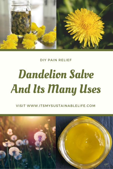 Bath Decoration Ideas, Dandelion Salve, Bath Decoration, Dandelion Oil, Dandelion Benefits, Salve Recipes, Lotion Recipe, Herbal Salves, Healing Salves