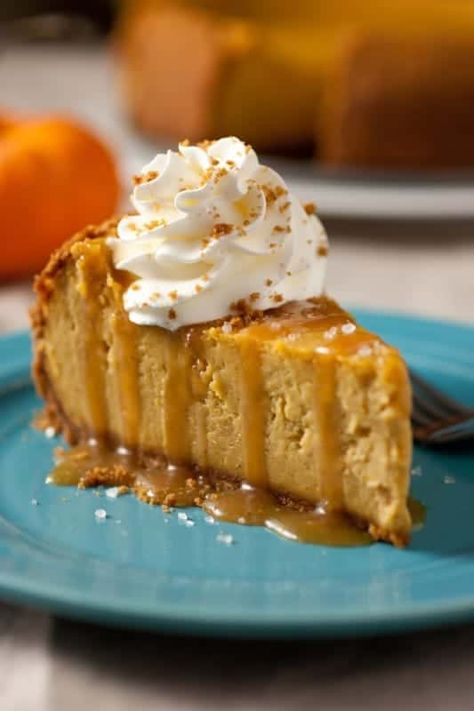 Pumpkin+Cheesecake+with+Salted+Caramel+Sauce Gingersnap Cheesecake, Thanksgiving Appetizer Recipes, Pumpkin Recipes Dessert, Salted Caramel Sauce, Pumpkin Caramel, Recipes Appetizers, Cooking Classy, Thanksgiving Desserts, Dessert Appetizers