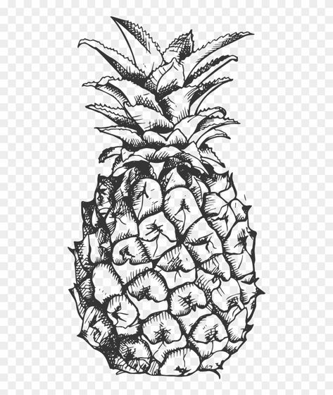 Fruit Drawing Black And White, Draw Pineapple, Pineapple Black And White, Pineapple Sketch, Banana Clipart, Pineapple Drawing, Black Friday Marketing, Black And White Tropical, Fruit Drawing