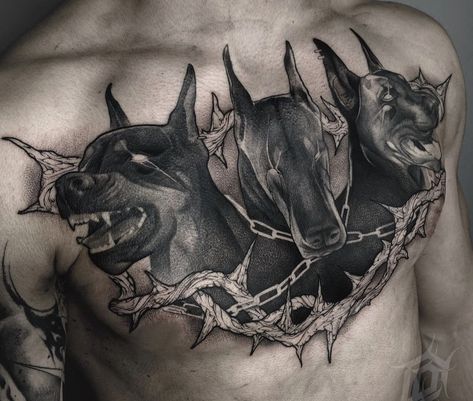 Cerberus Chest Tattoo Men, Doberman Chest Tattoo, Cerberus Dog Tattoo, Cerberus Chest Tattoo, Dog Chest Tattoo, Blackwork Chest Tattoo, 3 Headed Dog Tattoo, Belly Tattoo Men, Cerebus Dog Tattoo