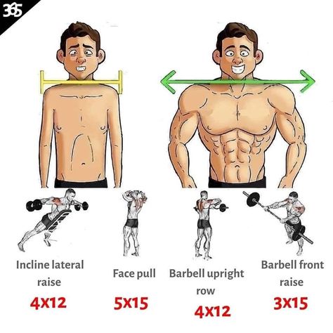 Chest Strong Physique, Shoulder Workout Routine, Gym Workout Guide, Latihan Dada, Workout Program Gym, Best Gym Workout, Gym Workout Planner, Latihan Kardio, Wide Shoulders