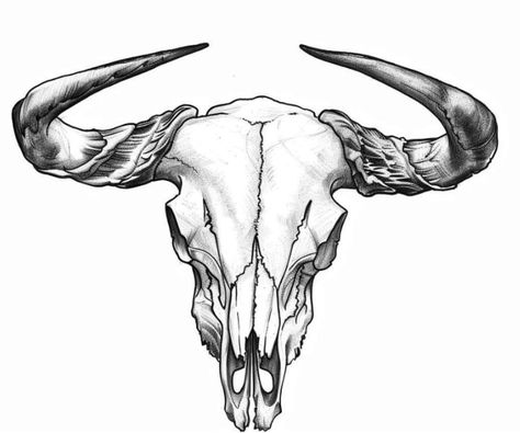 Buck Skull Tattoo, Bull Skull Drawing, Boar Skull, Bull Skull Tattoo, Buck Skull, Bull Skull Tattoos, Backpiece Tattoo, Funky Tattoos, Bull Tattoos