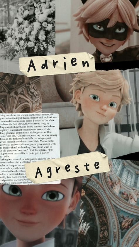 Adrien Agreste Aesthetic, Adrien Agreste Wallpaper, Adrien Wallpaper, Miraculous Memes, My Queen, Adrien Agreste, Cat Noir, Aesthetic Wallpaper, Tumblr Blog