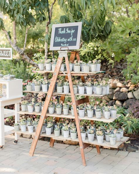 28 Unique Ways to Display Your Wedding Favors #WeddingFavors #WeddingFavorIdeas #WeddingInspiration #WeddingReception | Martha Stewart Weddings - 28 Unique Ways to Display Your Wedding Favors Favor Display, Tanaman Sukulen, Vintage Wedding Favors, Succulent Wedding Favors, Creative Wedding Favors, Succulent Favors, Inexpensive Wedding Favors, Wedding Favors And Gifts, Homemade Wedding