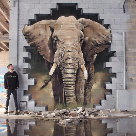 Elephant street art by Xav Illusion Kunst, Street Art Illusions, Wall Street Art, Urbane Kunst, Sidewalk Art, Street Painting, Charcoal Drawings, 3d Street Art, Amazing Street Art