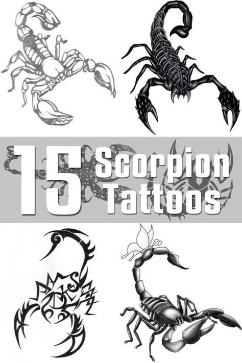 Scorpion Tattoo Designs Scorpion Drawing, Stammestattoo Designs, Scorpio Constellation Tattoos, Scorpion Tattoos, Scorpion Ring, Vegas Tattoo, Scorpio Art, Full Tattoo, Horoscope Tattoos