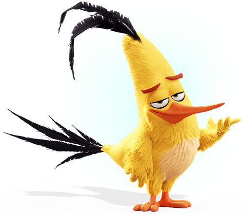 Characters | Angry Birds Chuck From Angry Birds, Angry Birda, Angry Birds Movie Characters, Angry Birds Chuck, Angry Brids, All Angry Birds, Chuck Angry Birds, Angry Birds Characters, Birds Movie