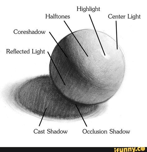 Halftones Center Light Coreshadow \ Cast Shadow Occlusion Shadow - iFunny :) Shading Techniques, Charcoal Drawings, Paint Projects, 3d Drawings, Art Instructions, Charcoal Drawing, Drawing Lessons, Drawing Skills, Drawing Tutorials