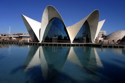 Famous Architectural Buildings, Famous Architecture Buildings, Felix Candela, Post Modern Architecture, Aquarium Architecture, Santiago Calatrava Architecture, Googie Architecture, Modern Architecture Design, Famous Architecture